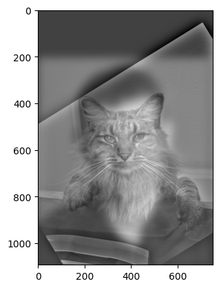 Hybrid Image of Derek + Nutmeg (high frequency)